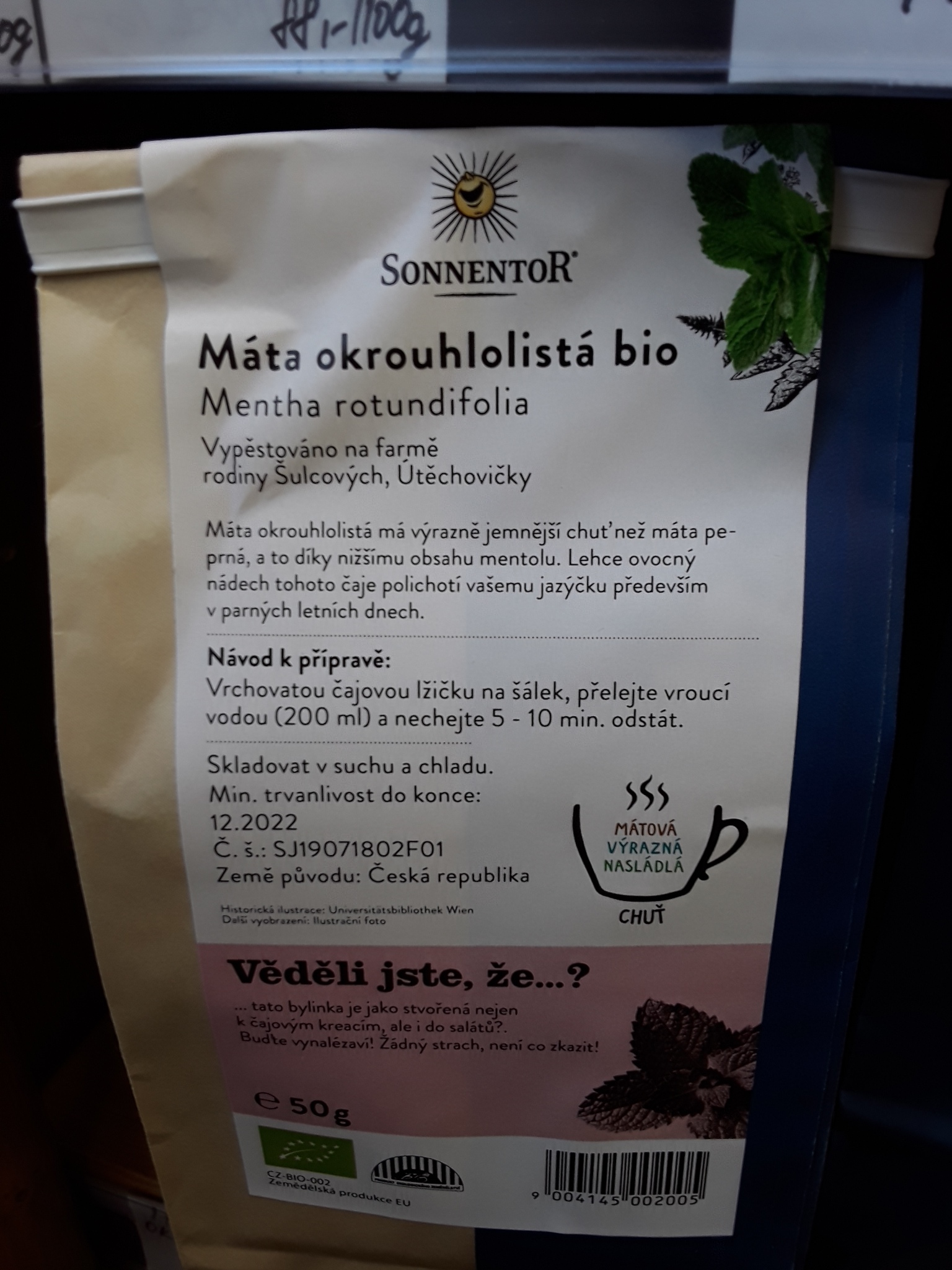 Máta okrouhlolistá