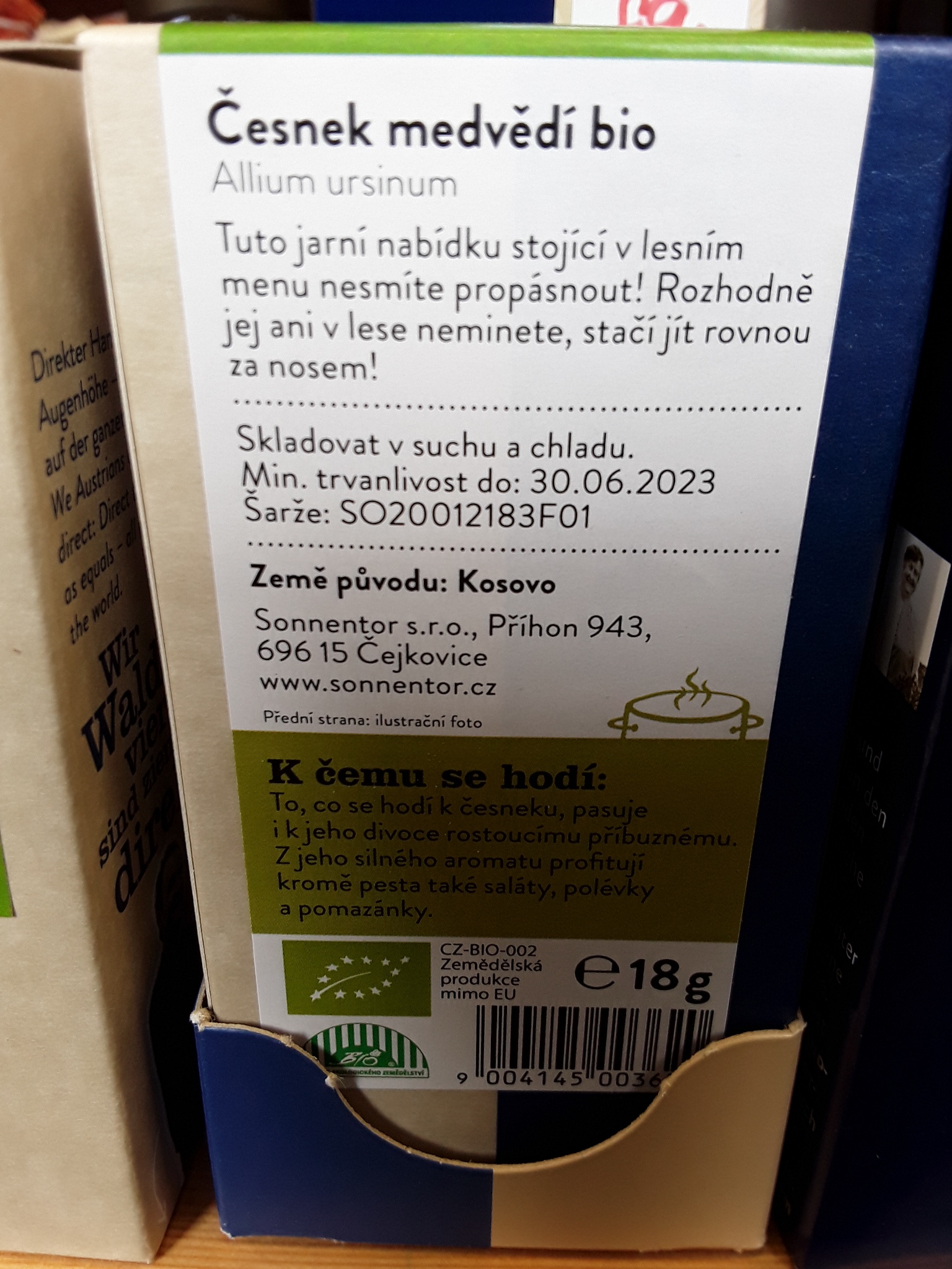Medvědí česnek