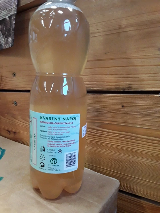 kombucha zelený čaj