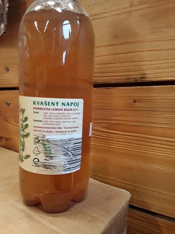 kombucha meduňka