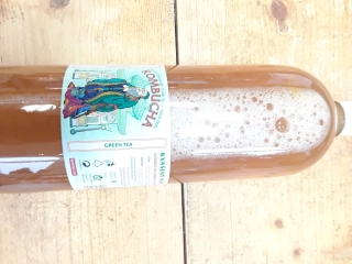 kombucha zelený čaj