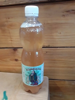 kombucha zelený čaj