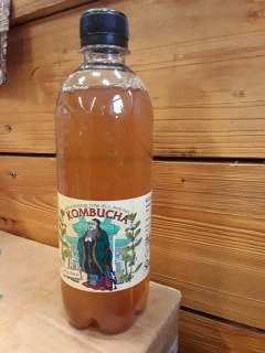 kombucha meduňka