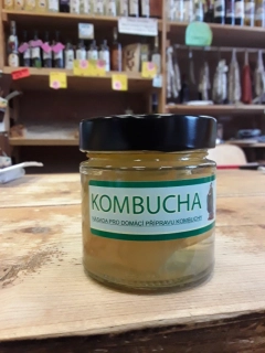 kombucha násada
