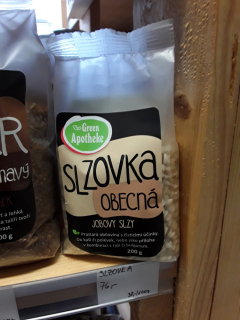 Slzovka obecná