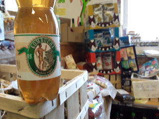 kombucha hloh