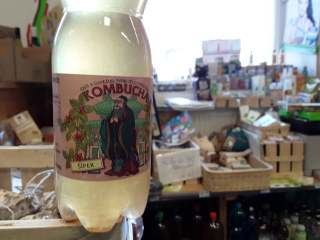 kombucha Šípek