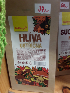 Hlíva ústřičná