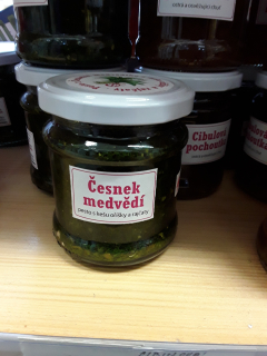 Pesto medvědí česnek