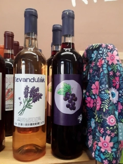 Rybízák