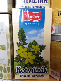 Čaj kotvičník