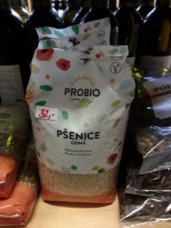 Pšenice ozimá