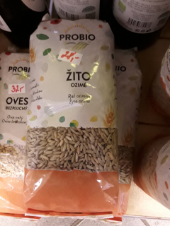 Žito ozimé