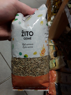 Žito ozimé