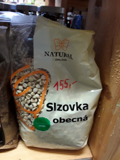 Slzovka obecná