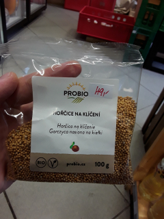 Hořčice na klíčení