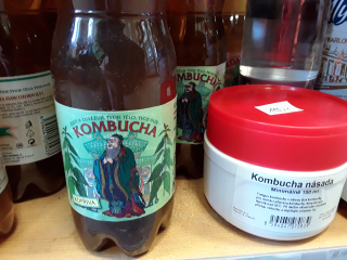 Kombucha kopřiva