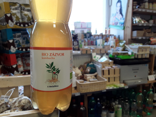 Kombucha BIO zázvor
