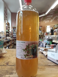 Kvašení nápoj kombucha šípek