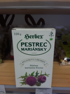 Ostropestřec mariánský