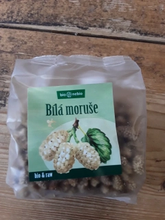Bílá moruše