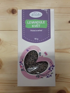 Levandule květ