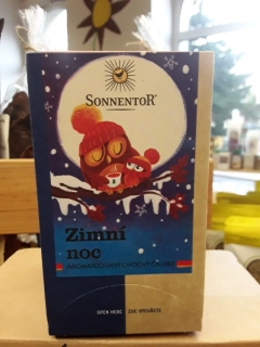Zimní noc